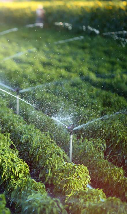 Venson Lawn & Landscapes LLC Irrigation System Repair
